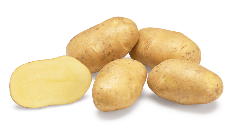 Babylon - La Frite Mania