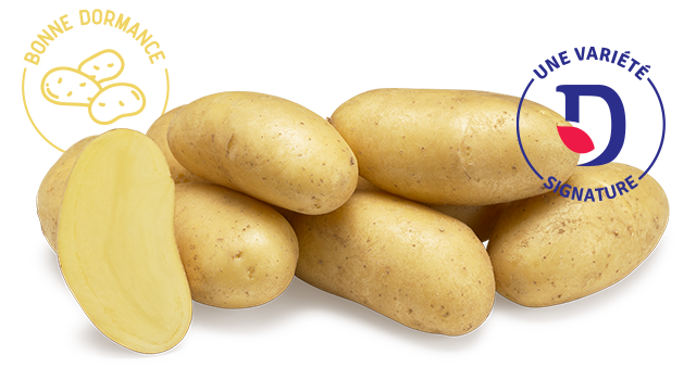 Variete DESMAZIERES Gourmandine (1)
