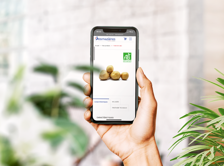 boutique en ligne Desmazières sur téléphone mobile