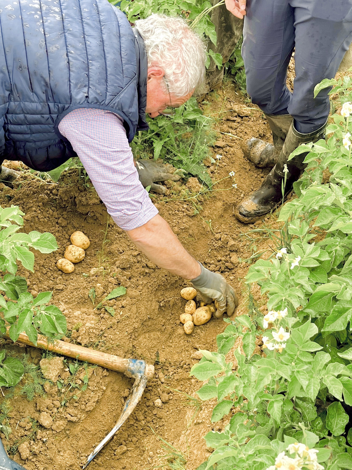 Desmazières à vos côtés