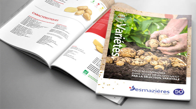 nouveau catalogue Desmazières